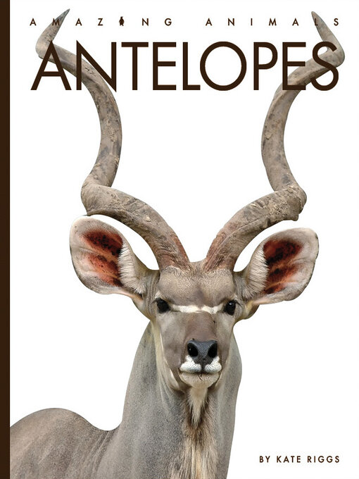 Title details for Antelopes by Kate Riggs - Wait list
